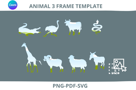 Animal 3 Frame: Graphics for Photo Collage