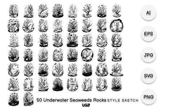 Underwater Seaweeds Rocks: Graphics & Illustrations